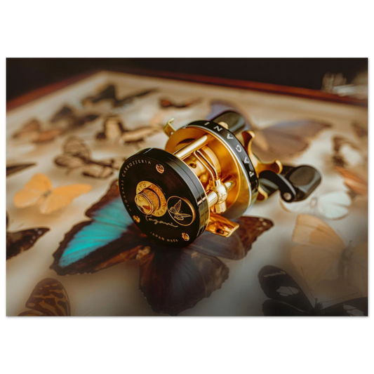 0237cc1b-b3e0-4e22-b4b3-a1b20a298f3e