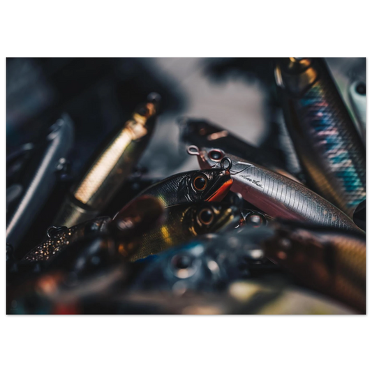 1d62c30c-acc1-483b-810e-84e0fe83d9c0