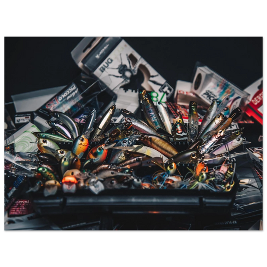 48dfff5d-3f55-4d9d-80cd-b5853c613e03