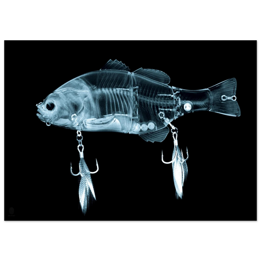 6cc78020-63c3-416b-8091-c00a33955193