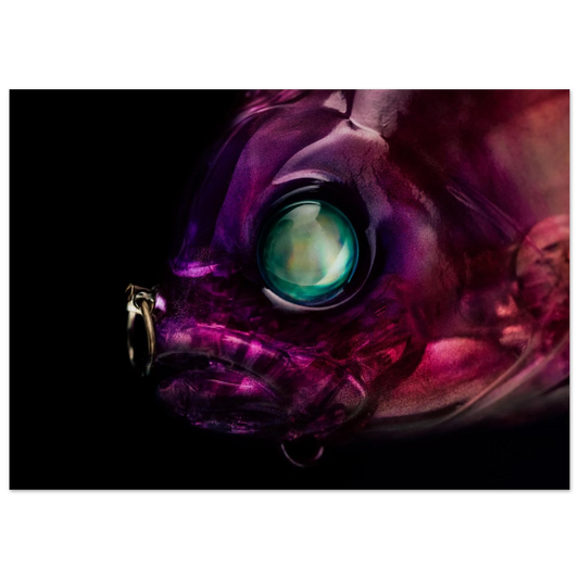 cd5ac312-79d2-4af2-872e-720a47653bbe