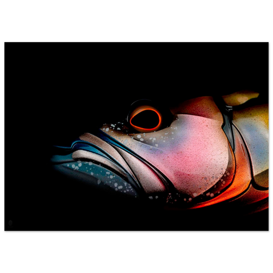 d668afda-81b4-4aac-a504-596644881a57