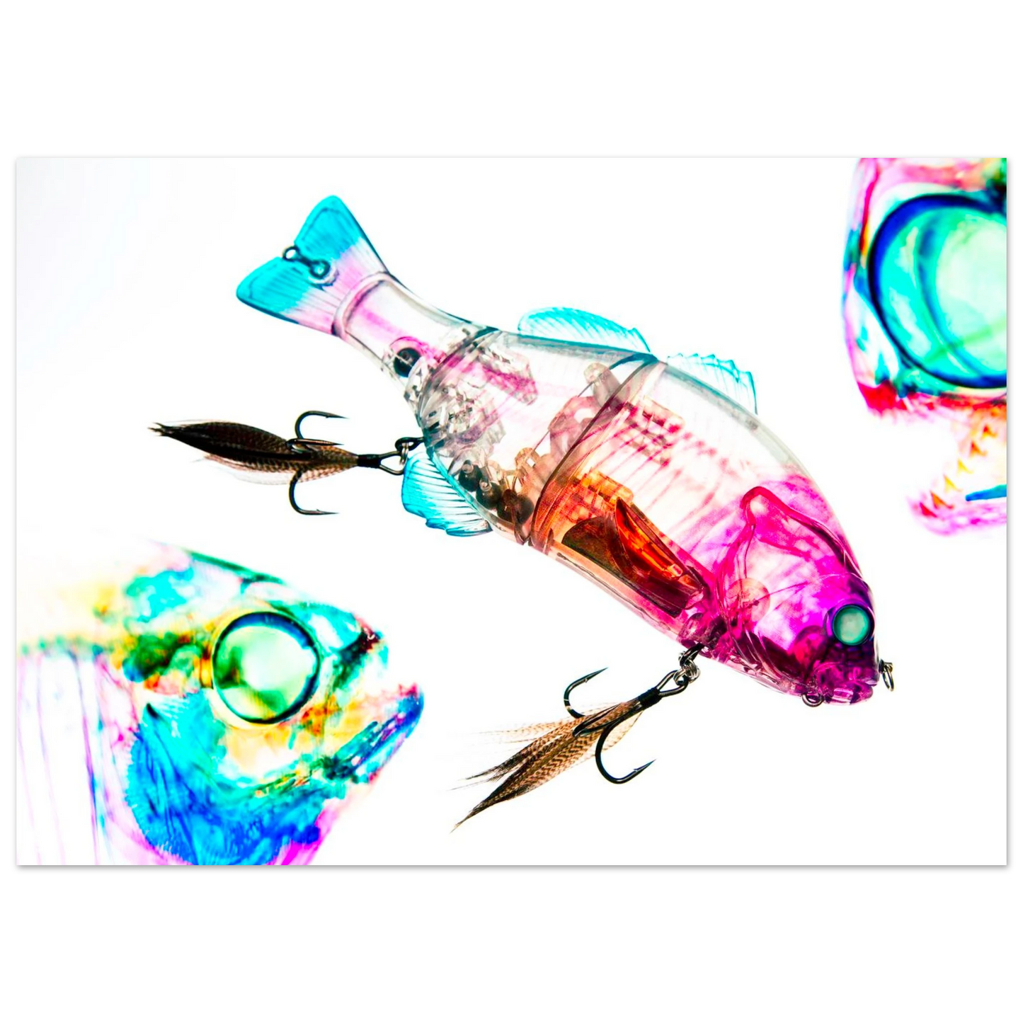 a044f9ca-9602-453b-a5bf-7ea1784f2845